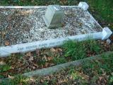 image of grave number 378090